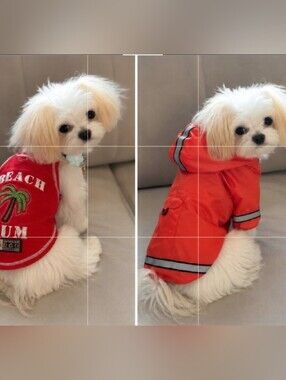 Small Dog Clothes Hoodies Jackets Raincoat XS-S  Puppy Mi-Ki Maltese